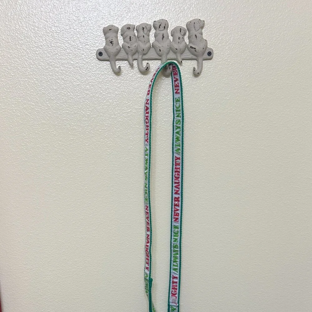 Never Naughty, Always Nice Dog Leash